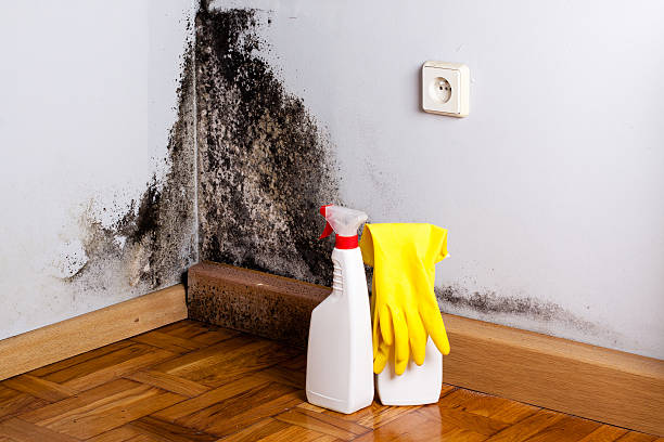 Best Residential Mold Removal  in Hurst, TX