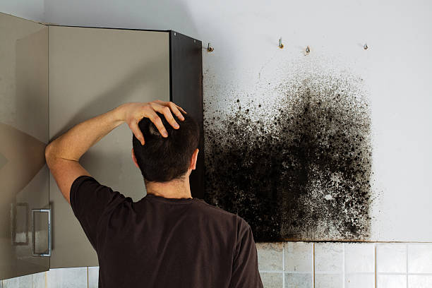 Best Office Mold Removal Services  in Hurst, TX