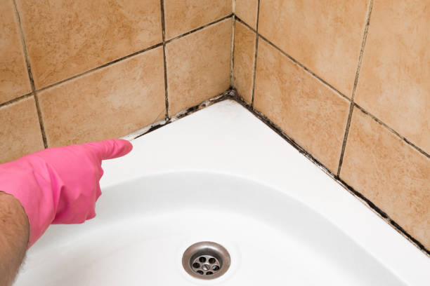 Best Emergency Mold Removal  in Hurst, TX